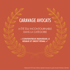 vignette-caravage-elu